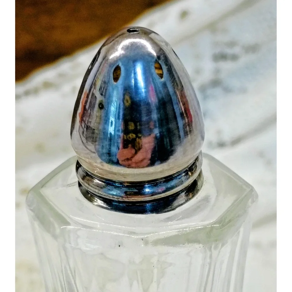Vintage West Germany Crystal Salt‎ and Pepper Shakers Set Paneled Glass 4.5